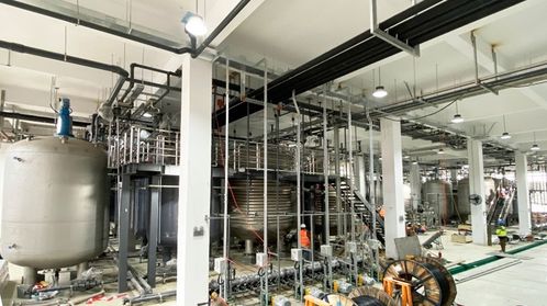 耗資20億的哈佛“長(zhǎng)生不老藥”NMN工廠落戶寧波余姚，是科學(xué)突破還是網(wǎng)絡(luò)工程？